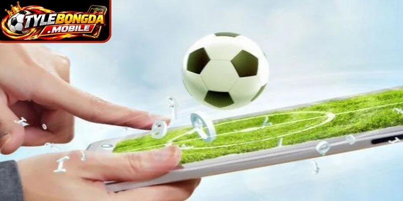 Cách xem kèo bóng đá đòi hỏi người chơi phải hiểu sâu các ký hiệu