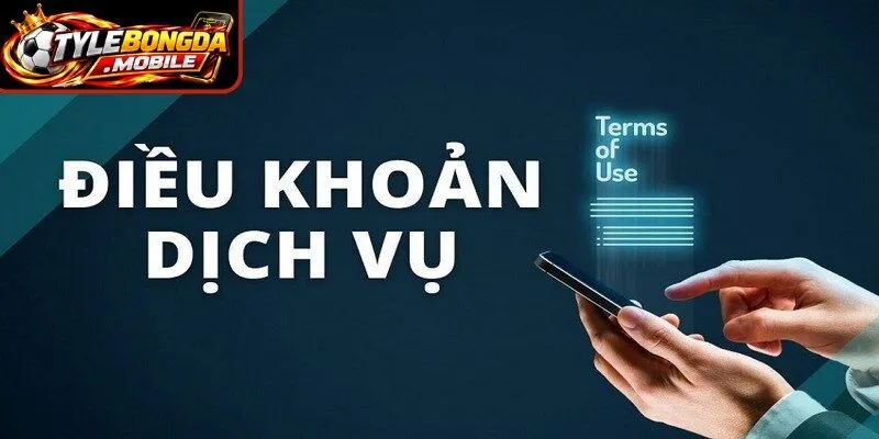 Các nội dung trong điều khoản điều kiện được phân chia theo từng phạm vi