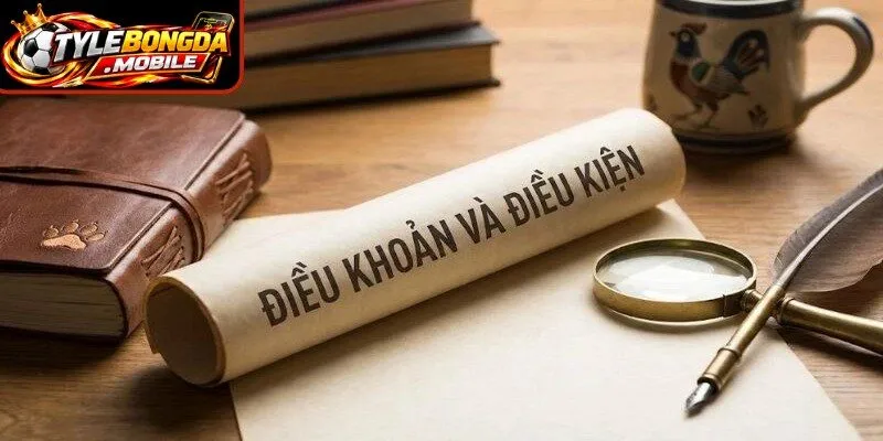 Cập nhật chi tiết các điều khoản điều kiện tại tỷ lệ bóng đá