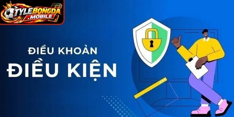 Các điều khoản tại trang web được cập nhật định kỳ