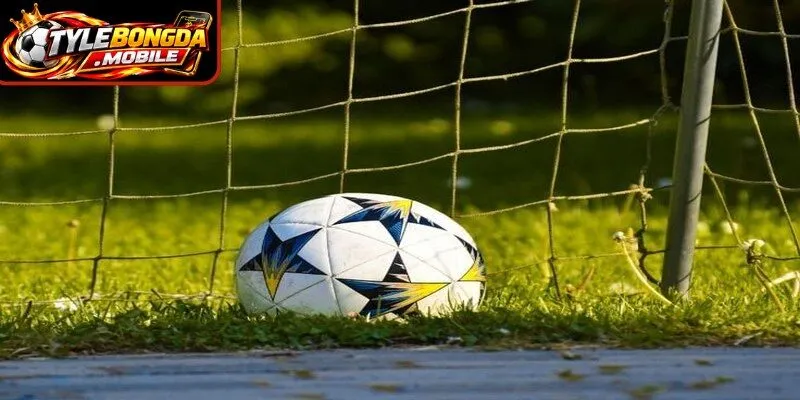 Giải thi đấu AFF Cup