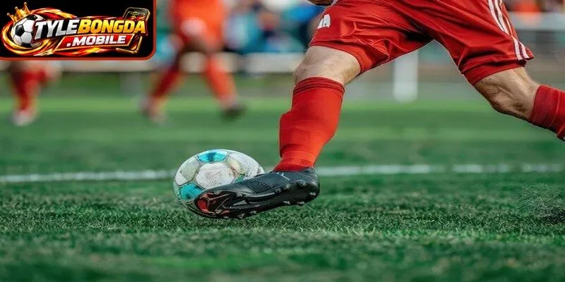 Đây chính là bí quyết thành công trong cá độ bóng đá
