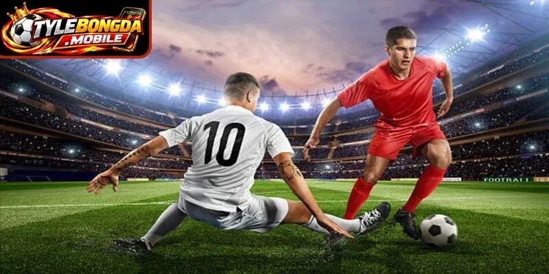 Điểm sáng của cửa cược thú vị Wincast